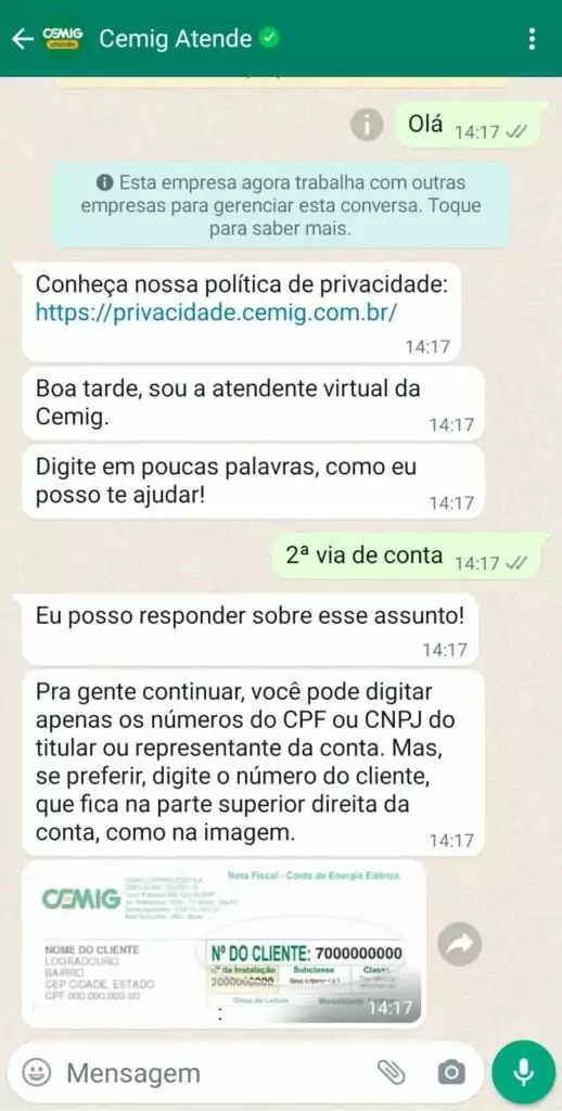 segunda via cemig pelo cpf