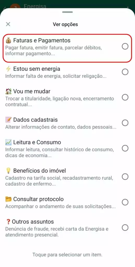 segunda via energisa mt